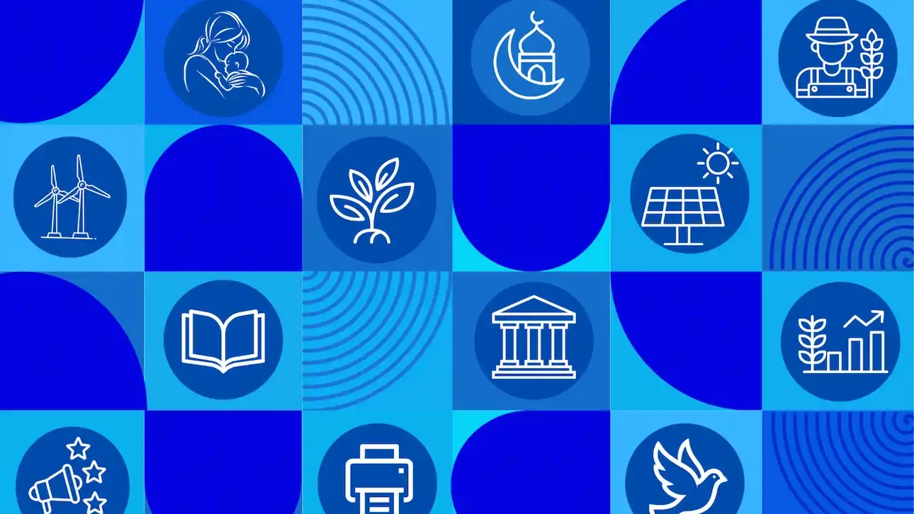 Mangrove Pictures 2026 (5)