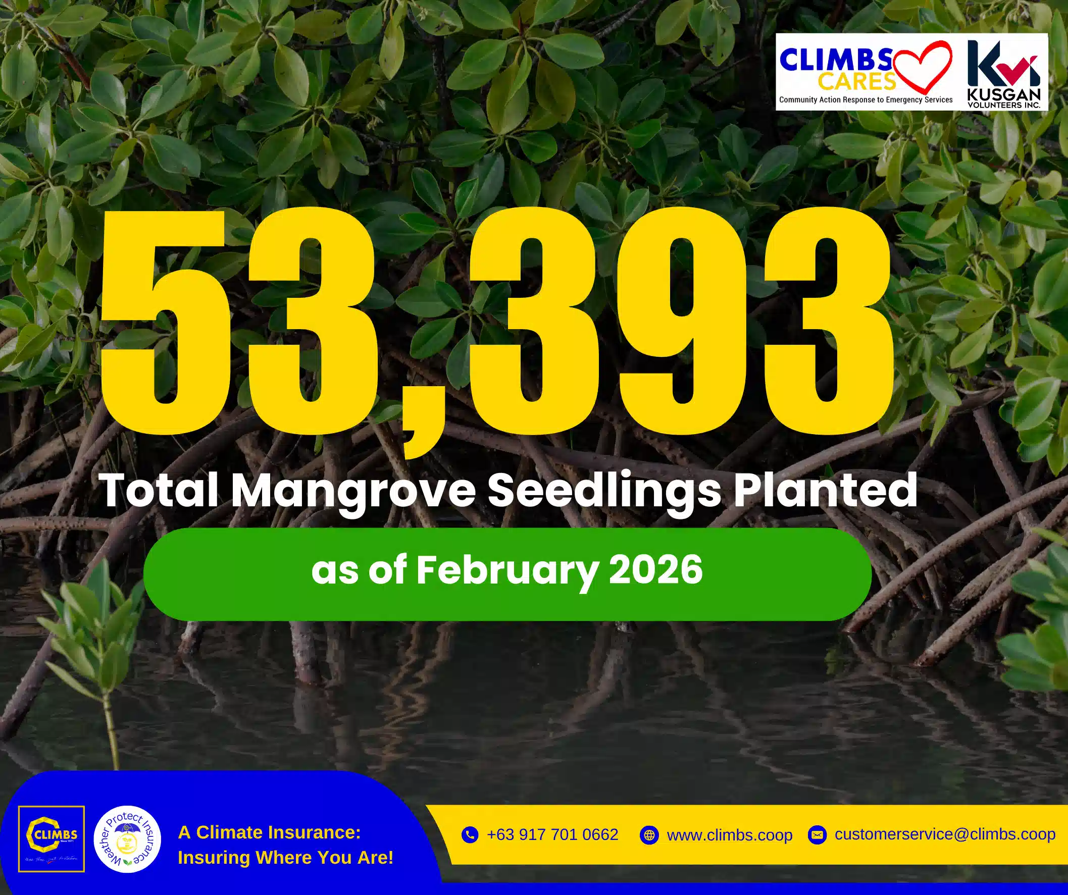 INSURANCE SMART TIP (15)